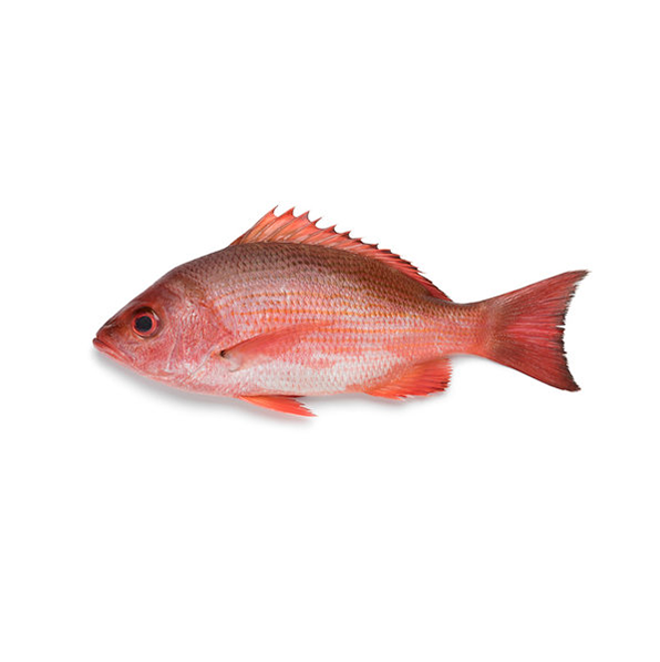 Red Fish