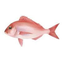 Red Fish